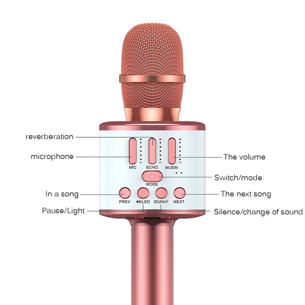 Karaoke Wireless Microphone With LED - Rose Gold – Funky Rico Marketplace