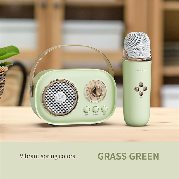 Karaoke Mini Set -Green