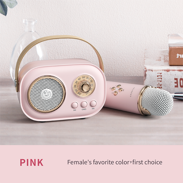 Karaoke Mini Set - Pink